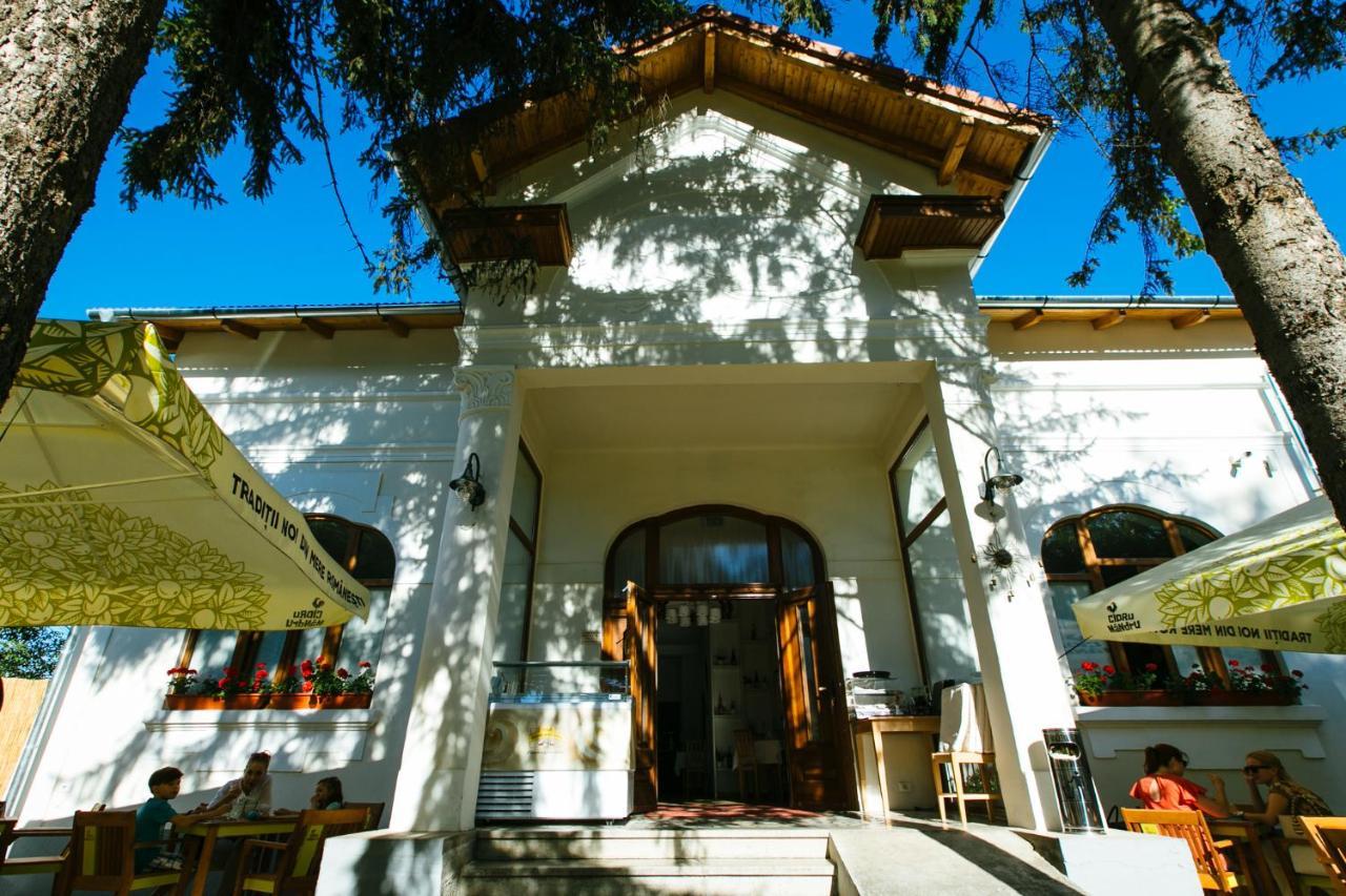 Casa Del Sole Hotel Alba Iulia Buitenkant foto